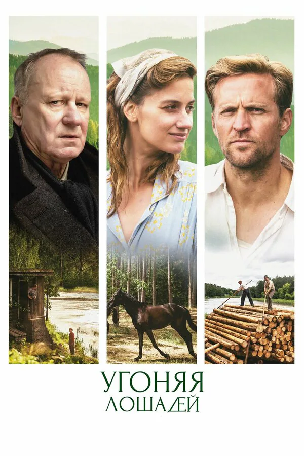 Обложка фильма «Угоняя лошадей»