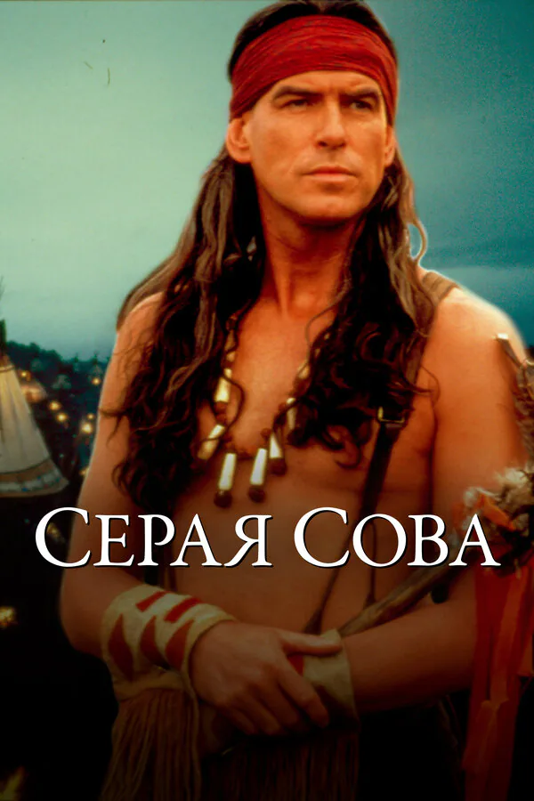 Обложка фильма «Серая сова»