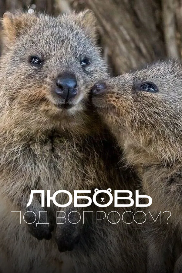 Обложка фильма «Любовь под вопросом?»