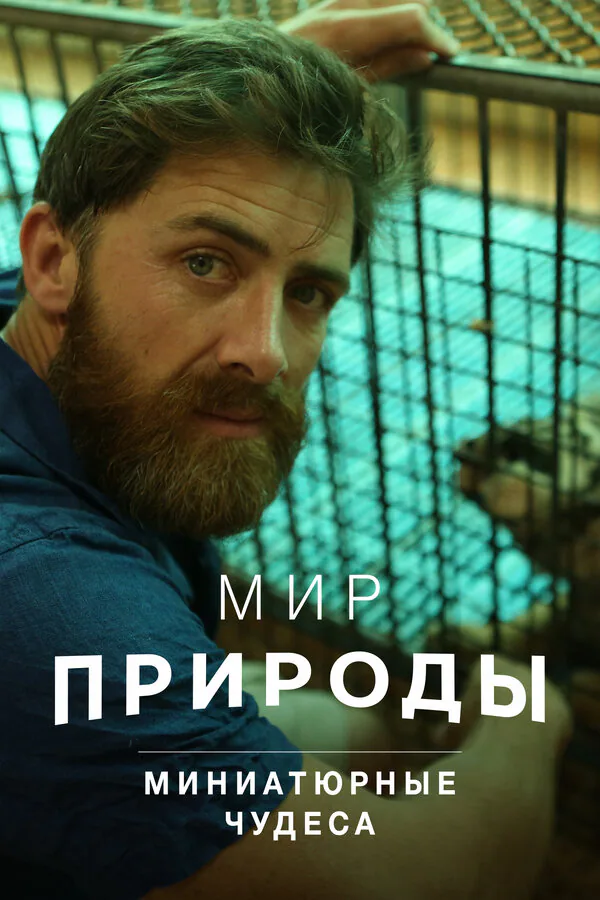 Обложка фильма «Мир природы. Миниатюрные чудеса»