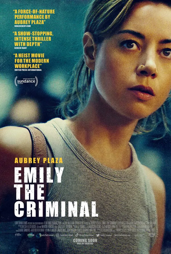 Обложка фильма «Преступница Эмили»