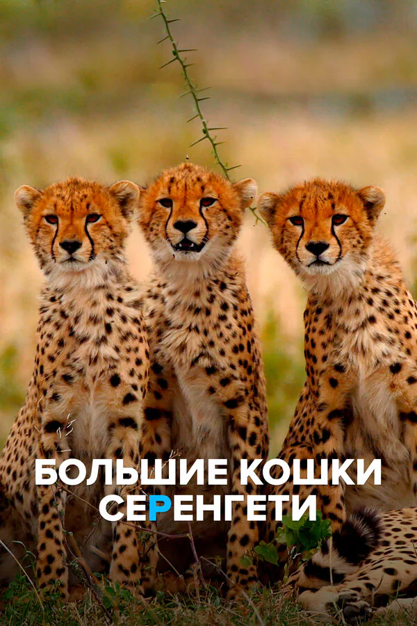 Обложка фильма «Большие кошки Серенгети»