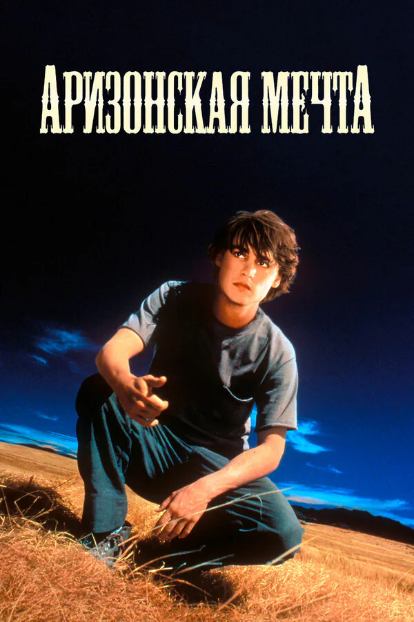 Обложка фильма «Аризонская мечта»