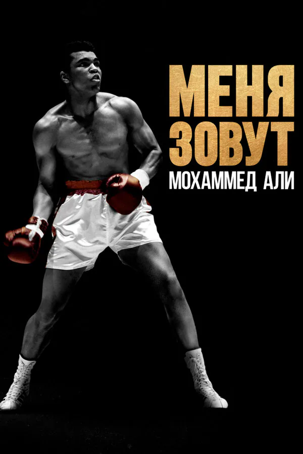Обложка фильма «Меня зовут Мохаммед Али»