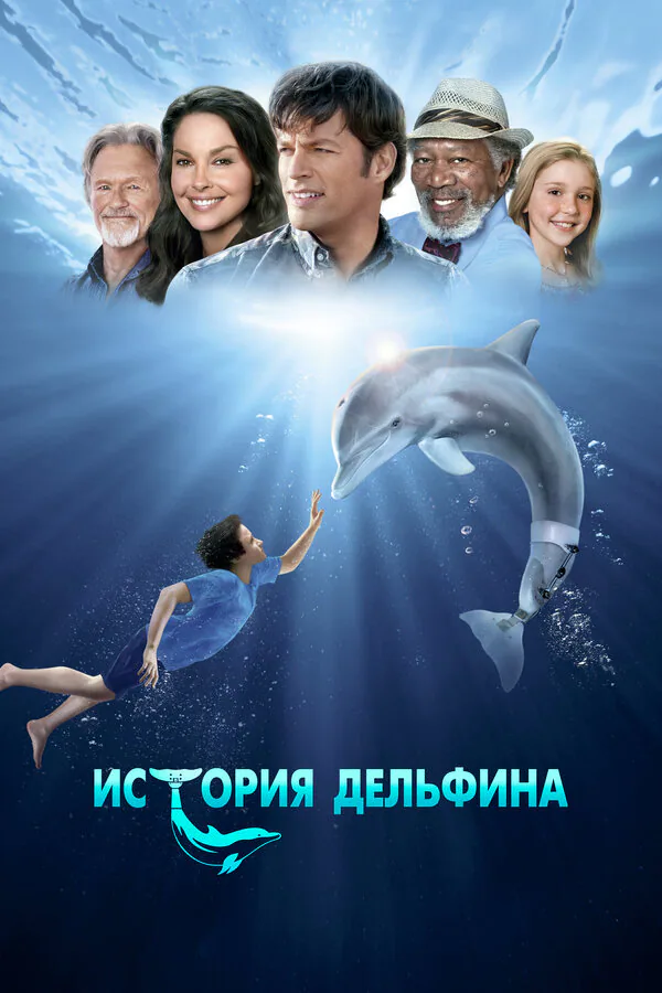 Обложка фильма «История дельфина»