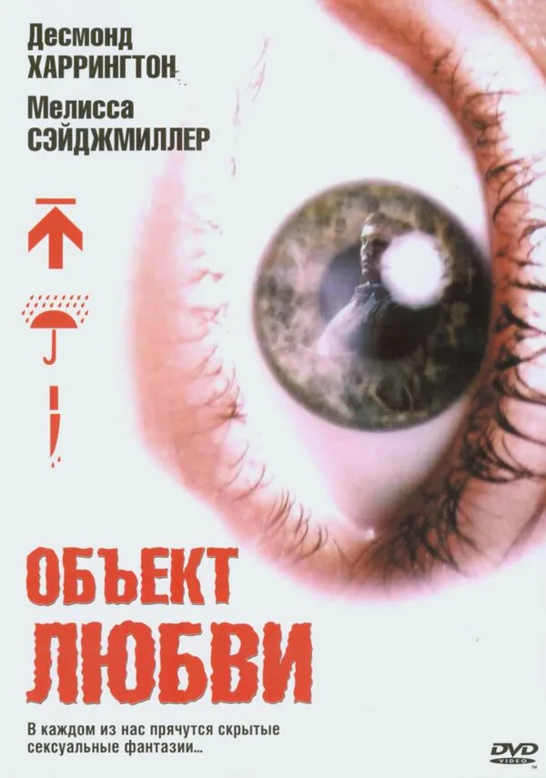 Обложка фильма «Объект любви»