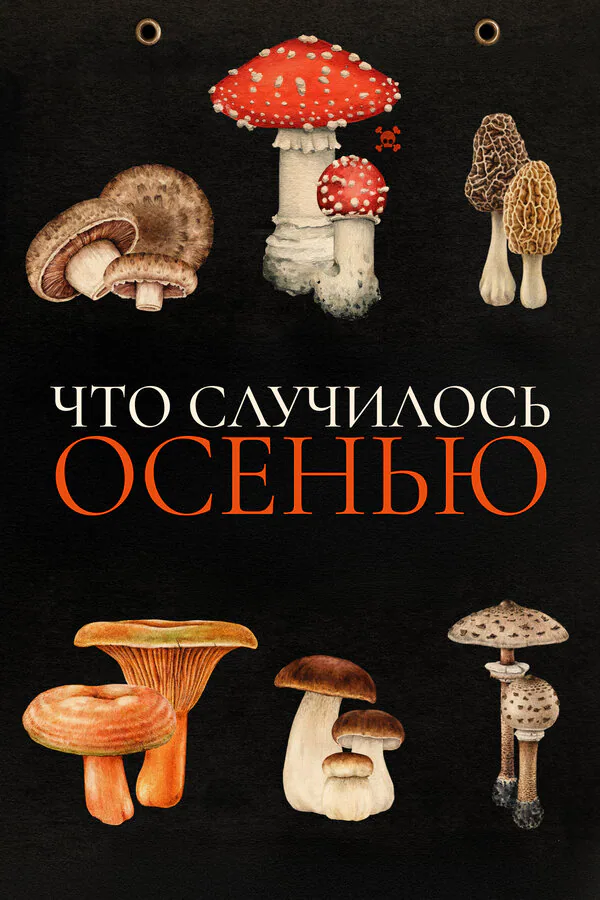 Обложка фильма «Что случилось осенью»