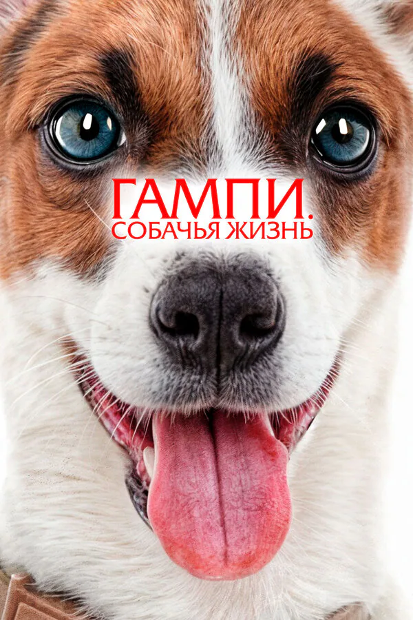 Обложка фильма «Гампи. Собачья жизнь»