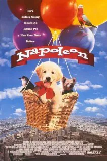 Обложка фильма «Наполеон»