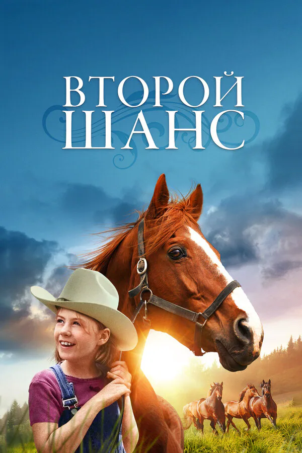 Обложка фильма «Второй шанс»
