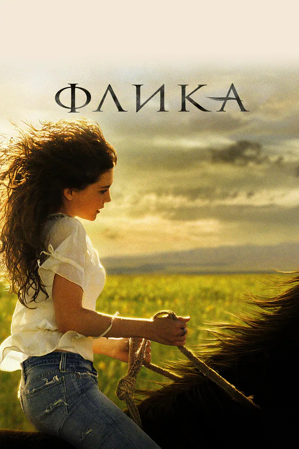 Обложка фильма «Флика»