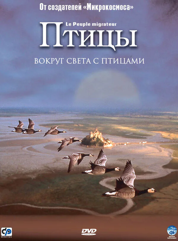 Обложка фильма «Птицы»