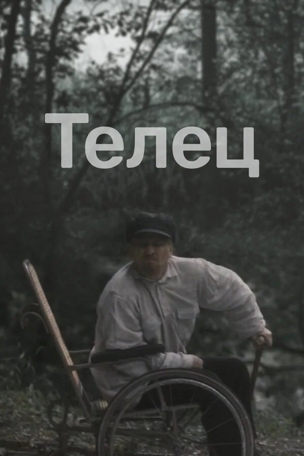 Обложка фильма «Телец»