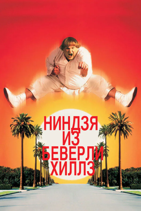 Обложка фильма «Ниндзя из Беверли-Хиллз»