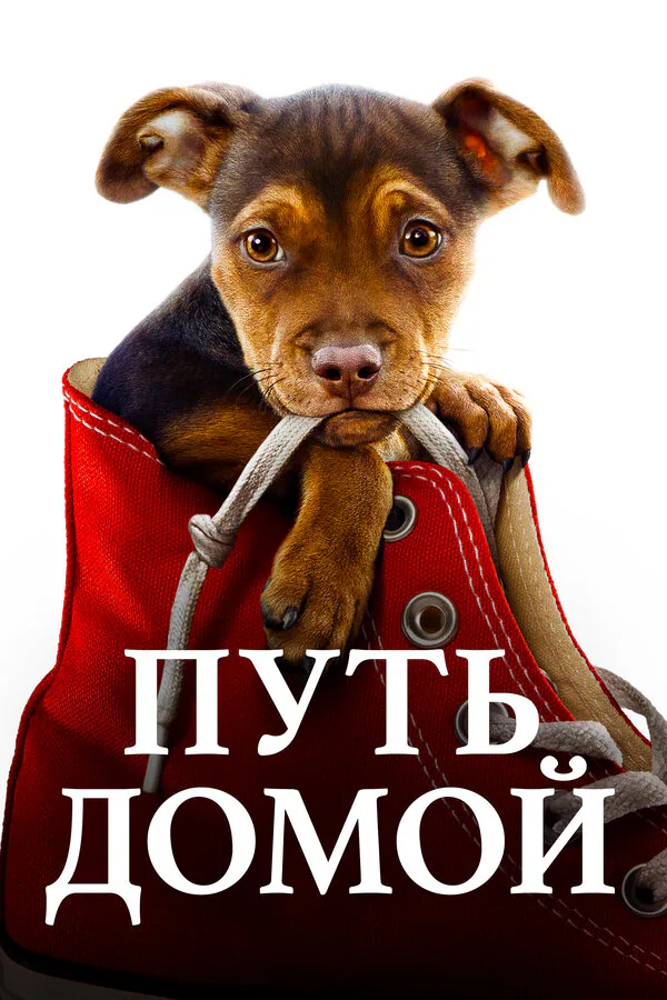 Обложка фильма «Путь домой»