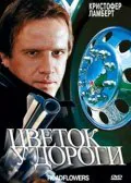 Обложка фильма «Цветок у дороги»