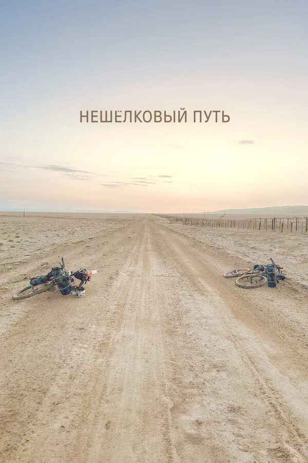Обложка фильма «Нешёлковый путь»