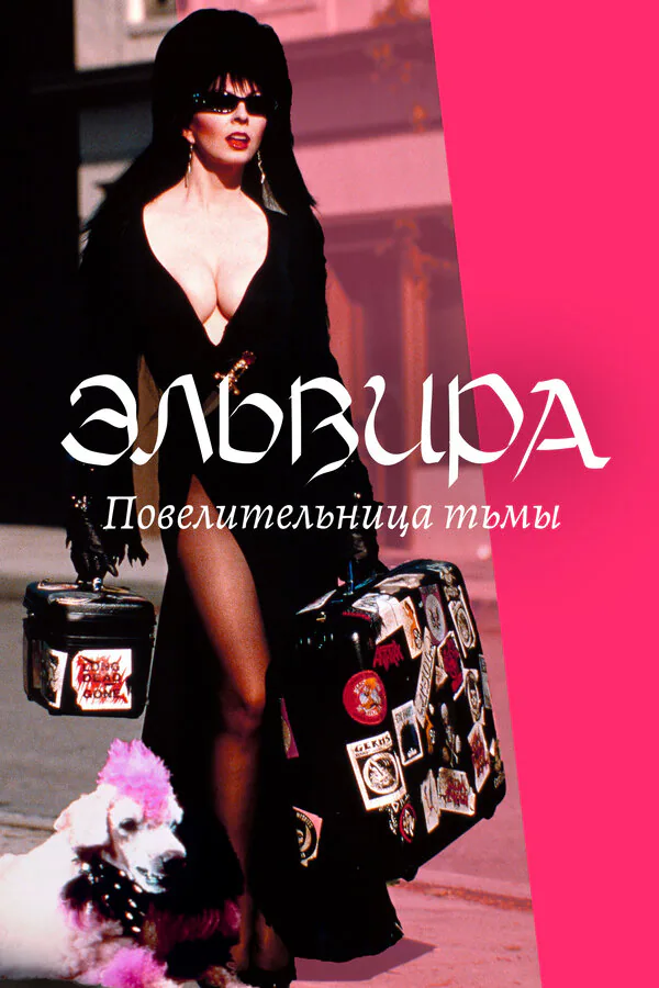 Обложка фильма «Эльвира: Повелительница тьмы»