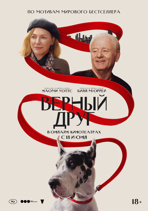 Обложка фильма «Верный друг»