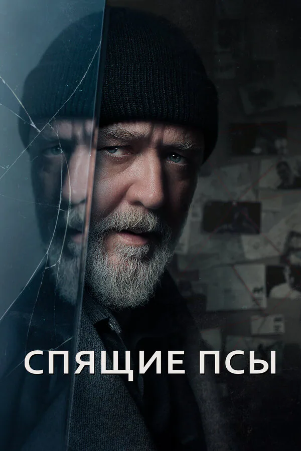 Обложка фильма «Спящие псы»