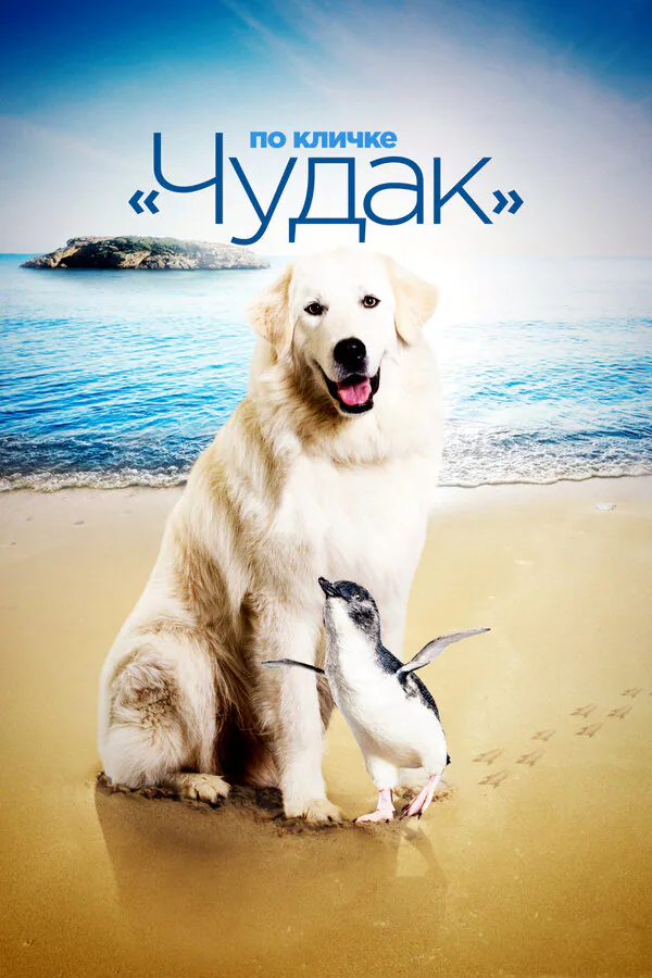 Обложка фильма «По кличке «Чудак»»