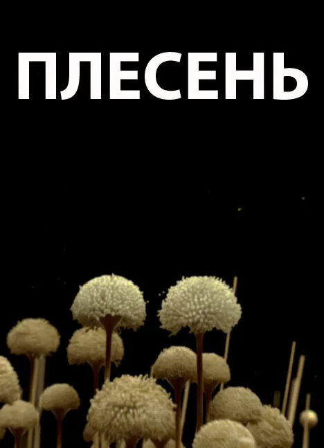 Обложка фильма «Плесень»