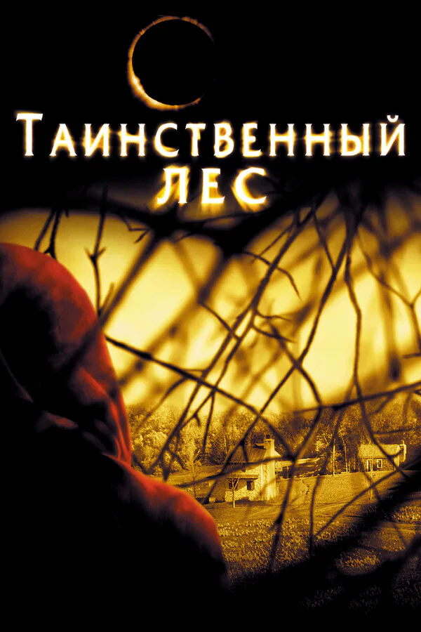 Обложка фильма «Таинственный лес»