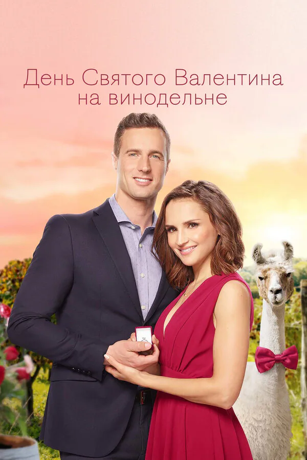 Обложка фильма «День Святого Валентина на винодельне»