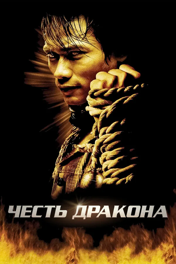 Обложка фильма «Честь  дракона»