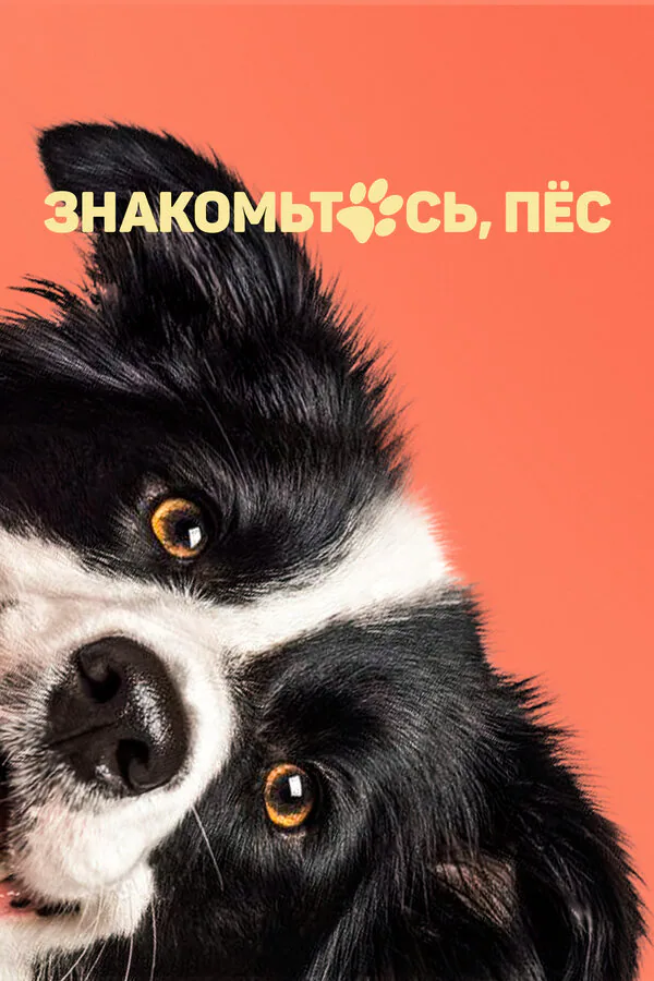 Обложка фильма «Знакомьтесь, пёс»