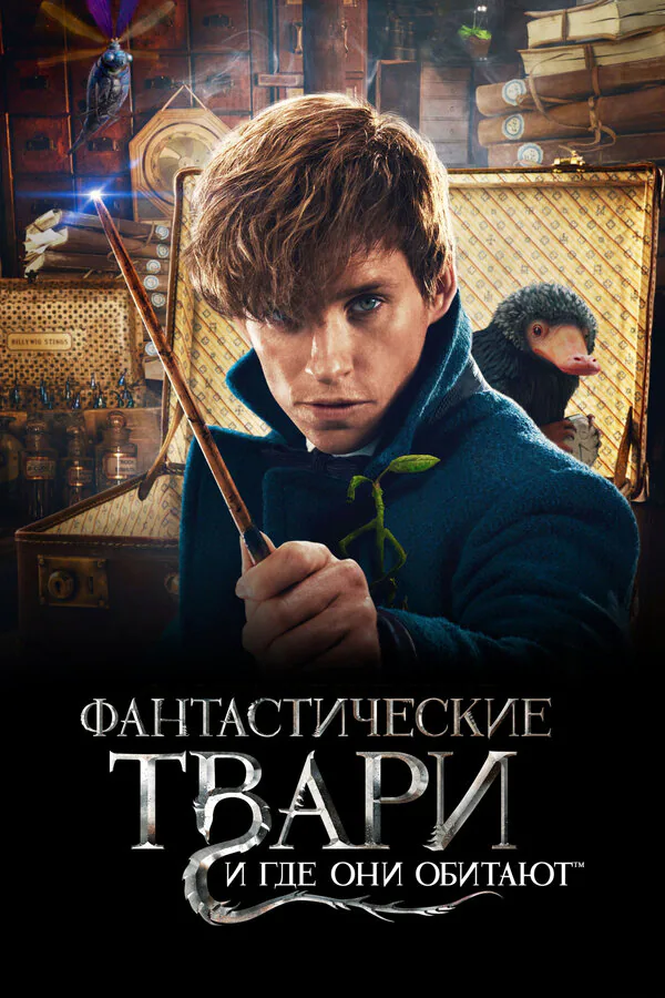 Обложка фильма «Фантастические твари и где они обитают»