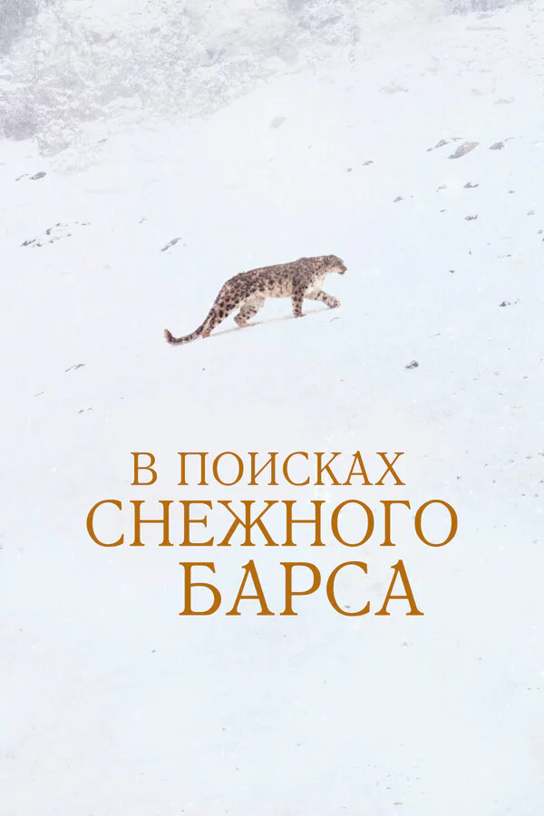 Обложка фильма «В поисках снежного барса»