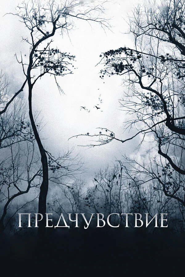 Обложка фильма «Предчувствие»
