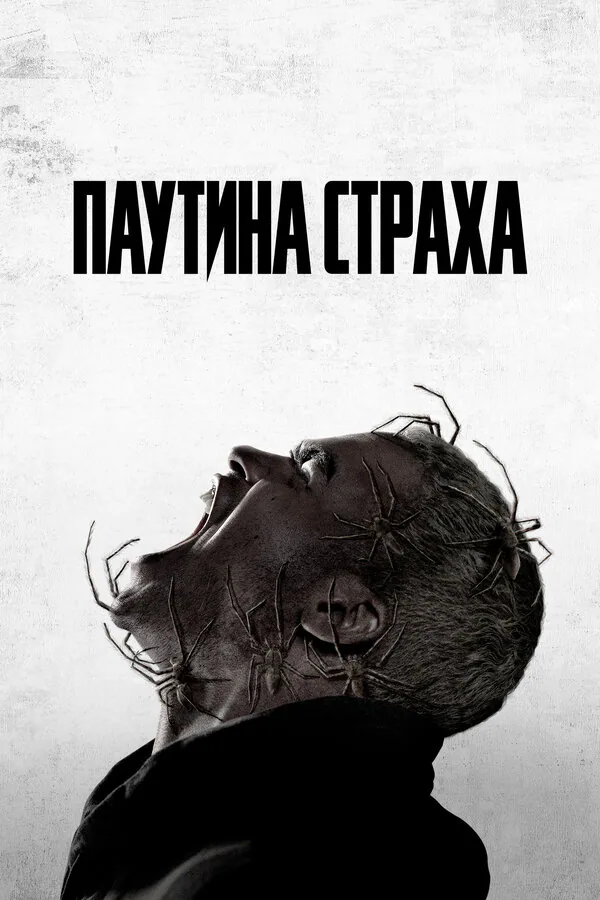 Обложка фильма «Паутина страха»