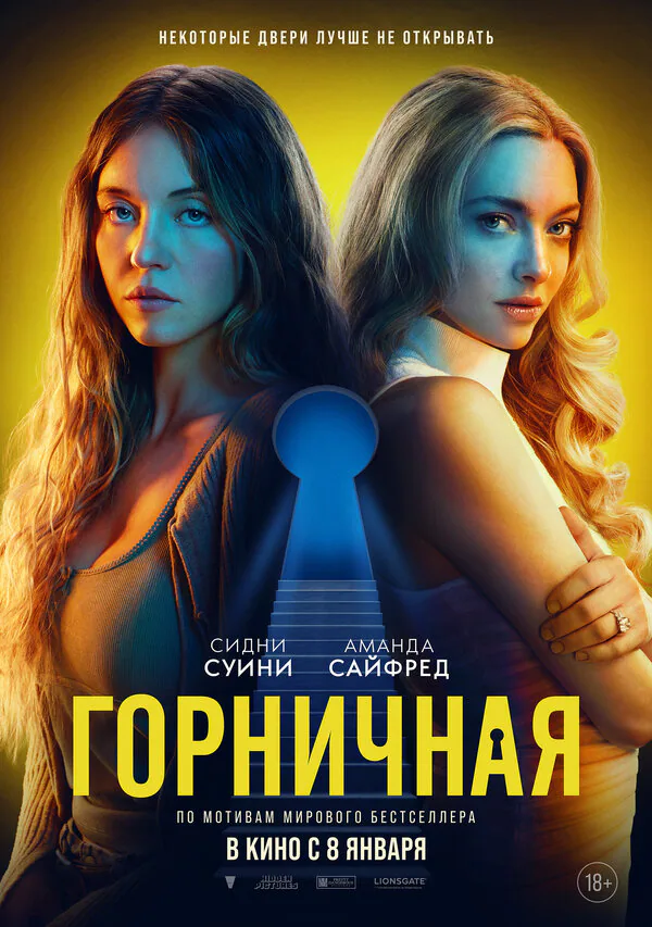 Обложка фильма «Горничная»