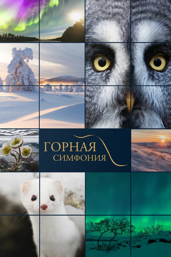 Обложка фильма «Горная симфония»