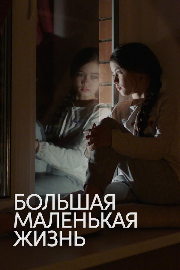 Обложка фильма «Большая маленькая жизнь»