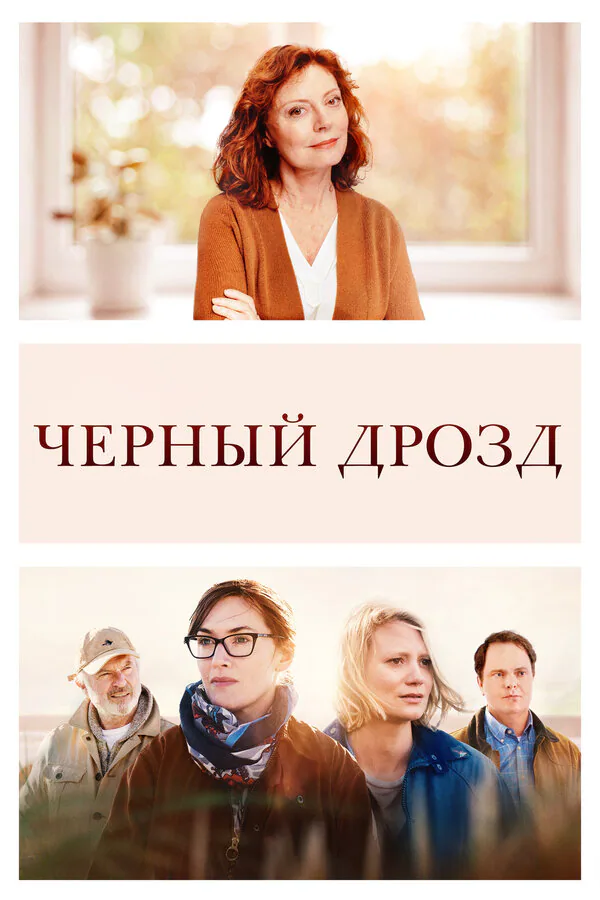 Обложка фильма «Чёрный дрозд»
