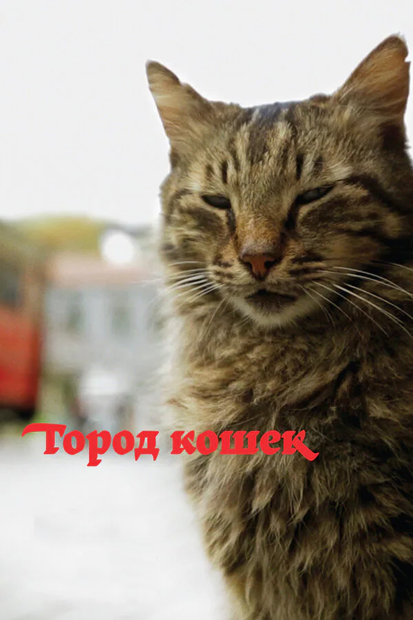 Обложка фильма «Город кошек»