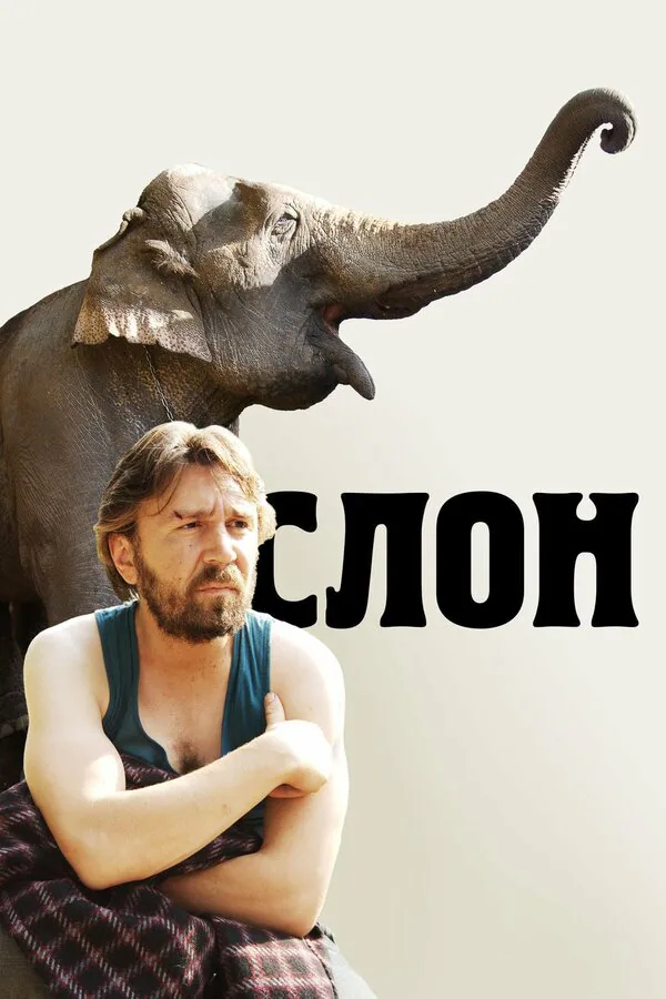 Обложка фильма «Слон»