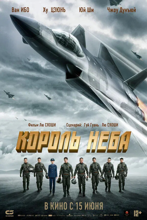 Обложка фильма «Король неба»