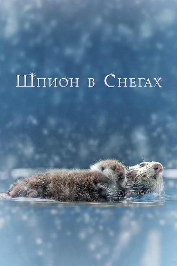 Обложка фильма «Шпион в снегах»