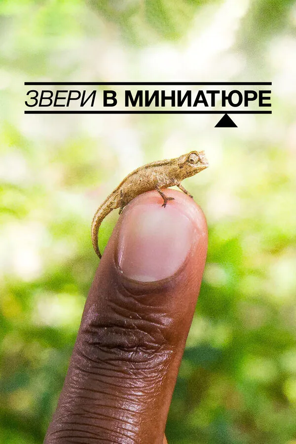 Обложка фильма «Звери в миниатюре»