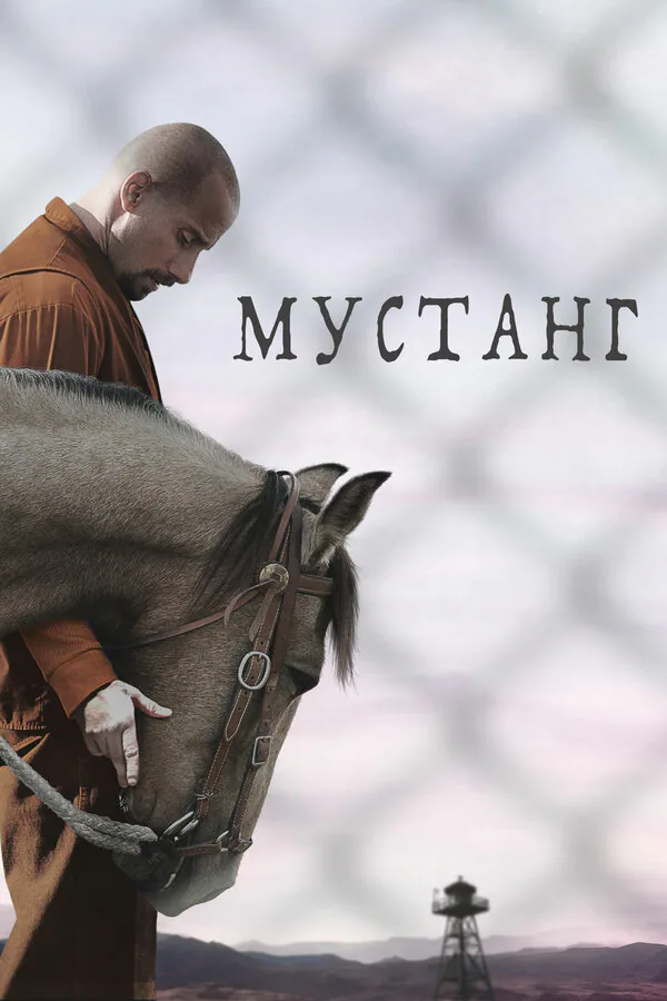 Обложка фильма «Мустанг»