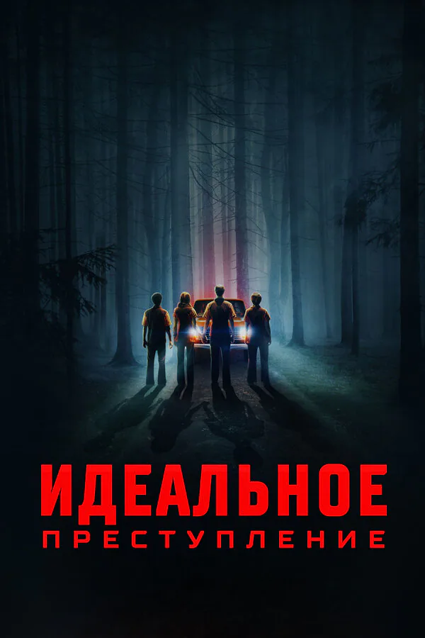 Обложка фильма «Идеальное преступление»