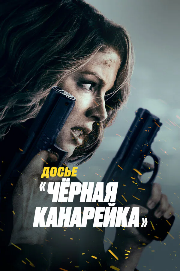 Обложка фильма «Досье «Чёрная канарейка»»