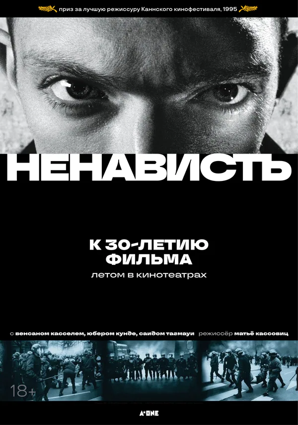 Обложка фильма «Ненависть»