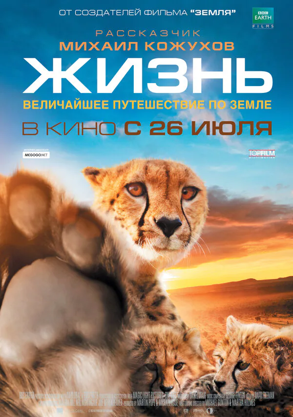 Обложка фильма «Жизнь»