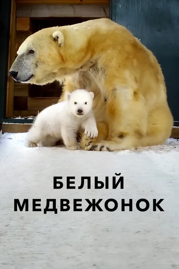 Обложка фильма «Белый медвежонок»