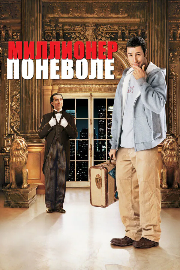 Обложка фильма «Миллионер поневоле»